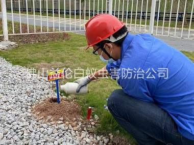 松岗红火蚁防治工程